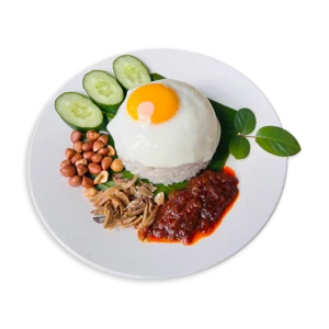 NASI LEMAK FRIED EGG