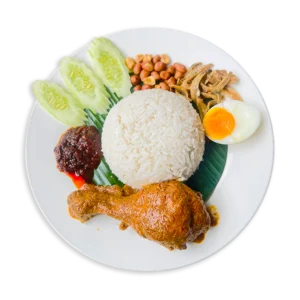 NASI LEMAK RENDANG CHICKEN