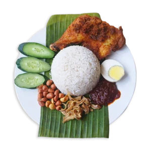 NASI LEMAK SPECIAL FRIED CHICKEN